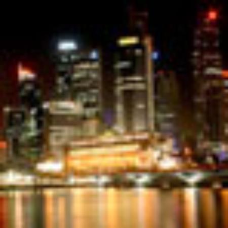 Festa Bakes and Grills